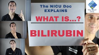 What is Jaundice and Bilirubin in Newborns The NICU Doc explains [upl. by Atterol]