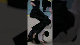 Smooth and dynamic Aikido by Kawagishi Shunsuke aikido aikidolife [upl. by Shayla]