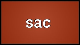 Sac Meaning [upl. by Chaiken]