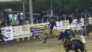 Três gineteadas em pêlo do Rodeio de Osório 2016 [upl. by Ahsienar]