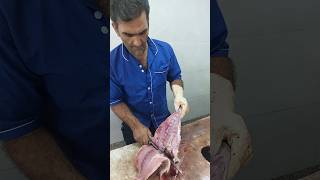 Interesting Way to Cut Giant Trevally Fish [upl. by Nairrot]