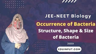 Occurrence of bacteria  Structure Size and Shape of Bacteria  Biology [upl. by Baillieu764]