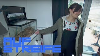 Giftige SCHLANGE geklaut Wo ist das gefährliche Tier jetzt  Auf Streife  SAT1 TV [upl. by Zosema802]