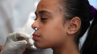 FluMist nasal spray might return next flu season [upl. by Cirded]