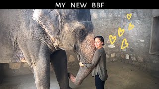 I spend 3 Days working with Rescued Elephants  India Travel Vlog 8 [upl. by Atnohsal]