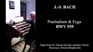 JS BACH  Praeludium amp Fuga  BWV 559 [upl. by Maurili]