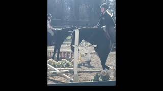 This trend horse equestrian [upl. by Ahsinaj]