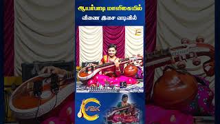 Ayarpadi Maaligayil Veena Cover  Krishna Songs Tamil Devotional  Veenai saindavikarunakaran [upl. by Kinnard]