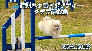 信州八ヶ岳アジリティークラブ競技会 20240908 [upl. by Bivins]