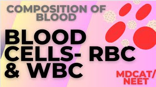 Blood cell RBC WBC  With Explanation and MCQS  Erythrocytes leukocytes platelets  MdcatNEET [upl. by Alfy]