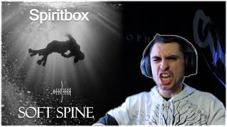 METALCORE MUSICIAN REACTS Spiritbox  Soft Spine REACTION [upl. by Elli]