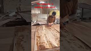 The labourer is making a plywood Very nice [upl. by Pinsky]