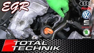 How to Test EGR Valve using VCDS  Audi VW Seat Skoda ALL MODELS  TOTAL TECHNIK [upl. by Xeno]