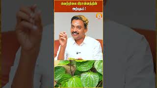 வெற்றிலை பிரசனத்தின் அற்புதம் avinasijothilingam prasannam [upl. by Velma]