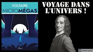 quotMicromégasquot de Voltaire voltaire Lumières Philosophie littérature livres booktube [upl. by Lea]