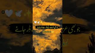 23 Saal Ka Hon Aur Hath Kanpty Hai  Afkar Alvi poetry shorts [upl. by Weihs]