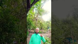 viralvideo YouTubeassalam walekum BCA course share kariban 🕋🕋💫💫💮🏵️🌸🌺 [upl. by Namreh]