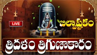 LIVE  బిల్వాష్టకం 20 నిలు వింటే కోటీశ్వరులవుతారు  Bilvashtakam  Lord Shiva Bhakthi Songs [upl. by Ostap]