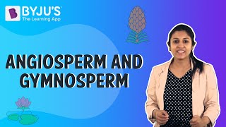 Difference Between Angiosperms And Gymnosperms [upl. by Jefferson]