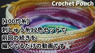 【100均糸】ダイソーの刺しゅう糸12色セットで前回の続きを編んでるだけの動画です☆Crochet Pouch☆ポーチ編み方 [upl. by Nehtiek177]