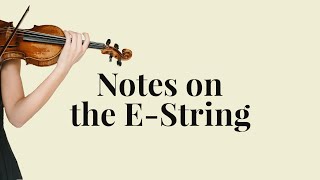 Notes on the EString violin [upl. by Broderick827]