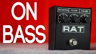 ProCo Rat2 Bass Demo [upl. by Archangel]