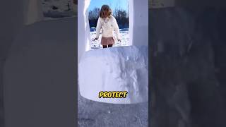 Girl Builds an Amazing Snow Palace for Survival shortsvideo [upl. by Isdnil]