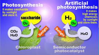 Photoelectrochemical Cells with Cocatalysts for Efficient Hydrogen Evolution from Water [upl. by Santiago]