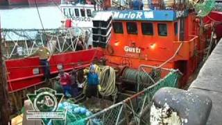 Dockers del Puerto de Mar del Plata [upl. by Mendive]