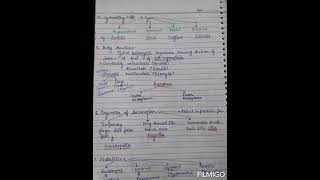 General characters and classification of phylum protozoa [upl. by Nnairam138]