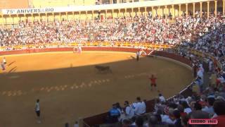 VAQUILLAS EN LA PLAZA DE TOROS DE TUDELA NAVARRA SANTA ANA 25072012 [upl. by Darom]