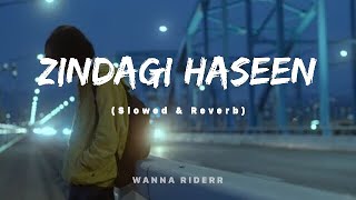 Zindagi Haseen  Pav Dharia Slowed amp Reverb WANNA RIDERR [upl. by Aevin]