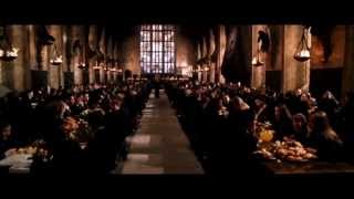 Harry Potter voice over 2  Het zweinpaleis [upl. by Howie957]