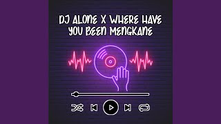 DJ ALONE X WHERE HAVE YOU BEEN MENGKANE [upl. by Ynohta553]