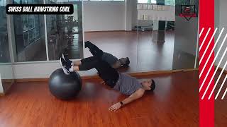 SWISS BALL HAMSTRING CURL [upl. by Mide634]