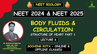 Body Fluids amp Circulation Part 6  Structure Of Heart  NEET Biology  Complete NCERT  Dr Anshuman [upl. by Aivartal338]