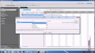 TeamCenter  Schedule Manager [upl. by Yentiw]