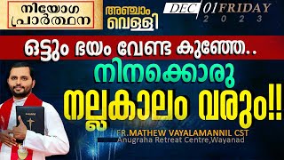 ഒട്ടും ഭയംവേണ്ട കുഞ്ഞേ നിനക്കൊരു നല്ലകാലം വരുംFRMATHEW VAYALAMANNIL CST നിയോഗപ്രാർത്ഥനFRIDAY [upl. by Stetson287]