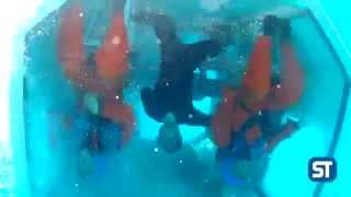 Underwater huet exercises [upl. by Rodgiva]