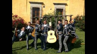 Camino al cielo Mariachi Juvenil Mascota 2014 [upl. by Iht]