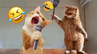 You Laugh You Lose 😛🐶 Funniest Dogs and Cats 2024 👋😻 136 [upl. by Atinaw]