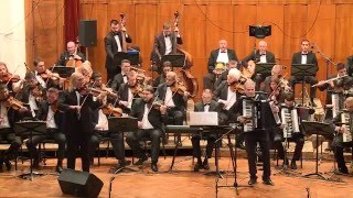 Slavko Mitrović Cale Momčilo Moma Stanojević i Narodna filharmonija  Tanano oro [upl. by Adnelg]