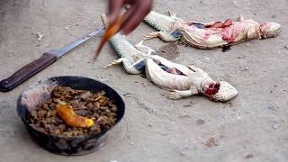 Quackery in Pakistan Killing Indian Spinytailed Lizards for Oil Sanday ka tail [upl. by Drusie150]