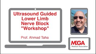 UltrasoundGuided Lower Limb Nerve Block Regional Workshop by Prof Ahmad Taha [upl. by Tamiko355]