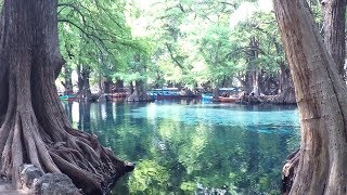 Lago de Camécuaro Michoacán México [upl. by Koloski919]