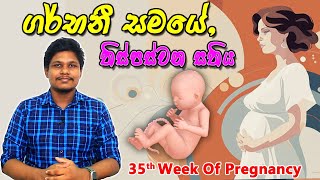 Pregnancy 35th Week  Sinhala Medical Review  අම්මයි බබයි [upl. by Selemas859]