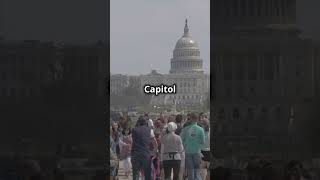 Discover Washington DC in 60 Seconds [upl. by Nenerb305]