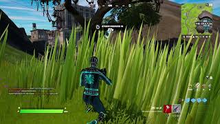 Damage an opponent within 45 seconds of crouching in tall grass Fortnite  Season Quests Week 5 [upl. by Ellimaj894]