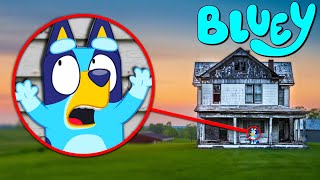 BLUEY BROKE INTO MY HOUSE IN REAL LIFE CURSED BLUEY [upl. by Diandre668]