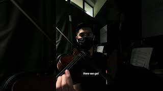 Luminary  Joel Sunny Violin Cover [upl. by Haleemak]